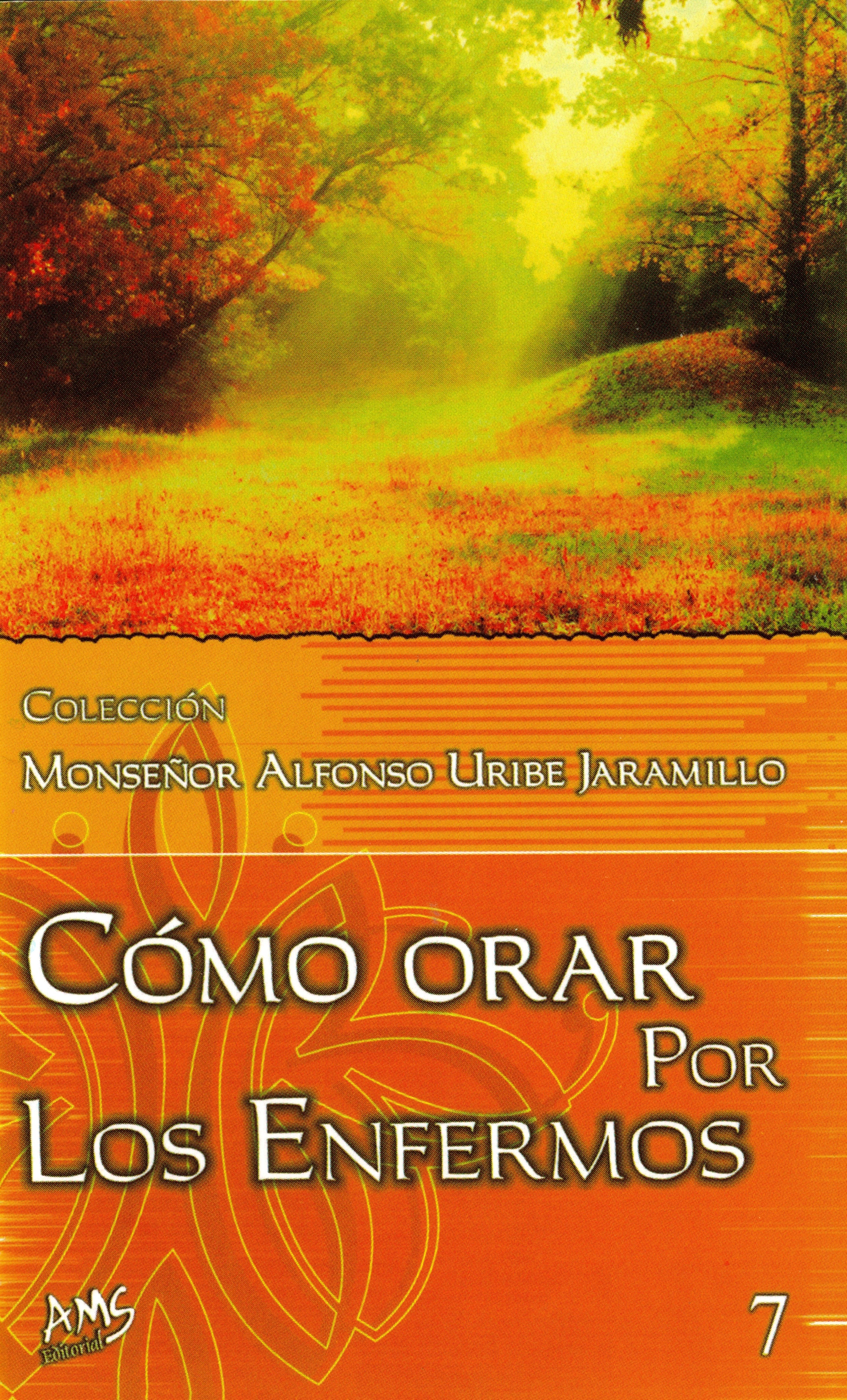 Cómo Orar por los Enfermos