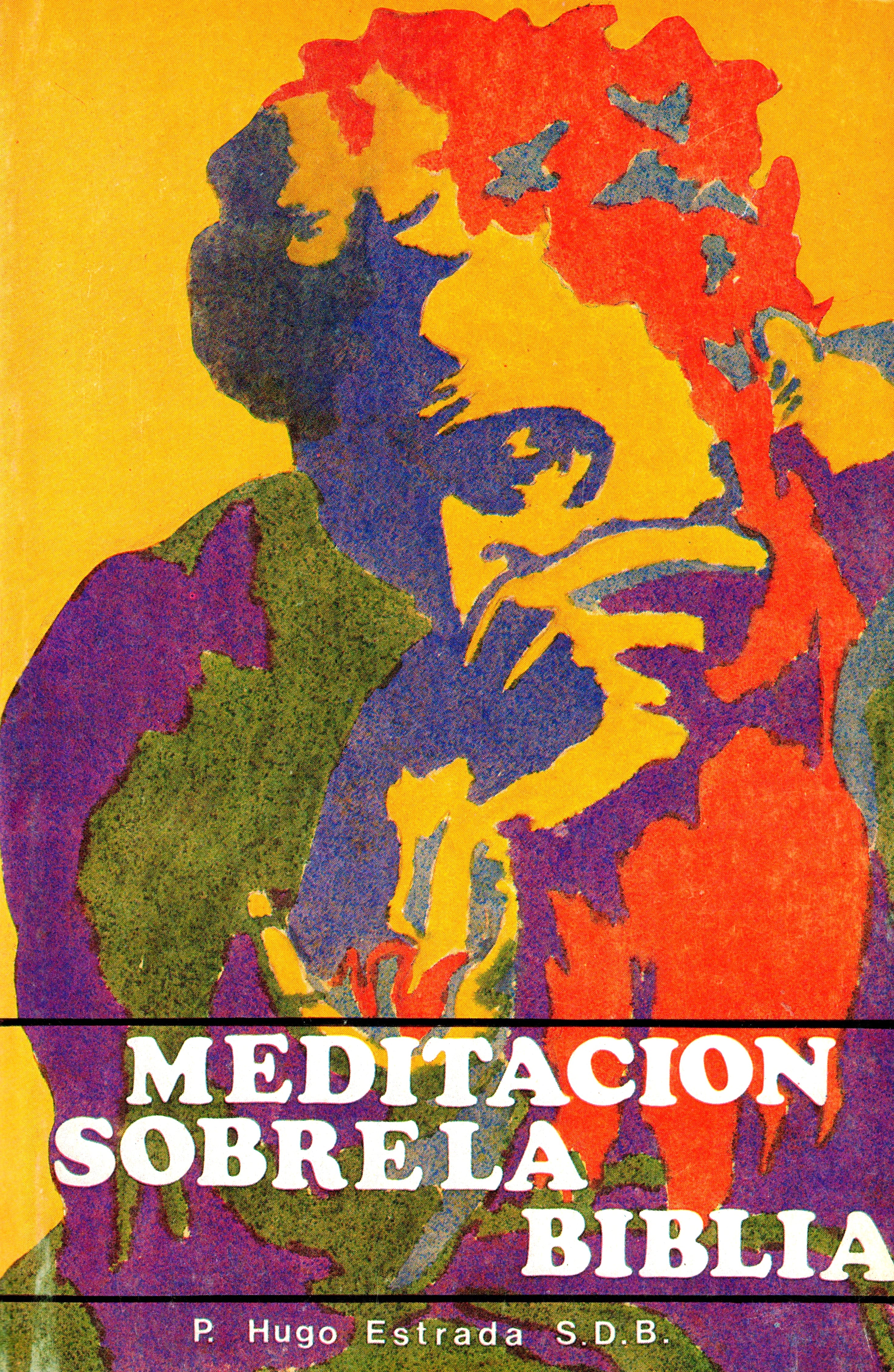 Meditación sobre la Biblia